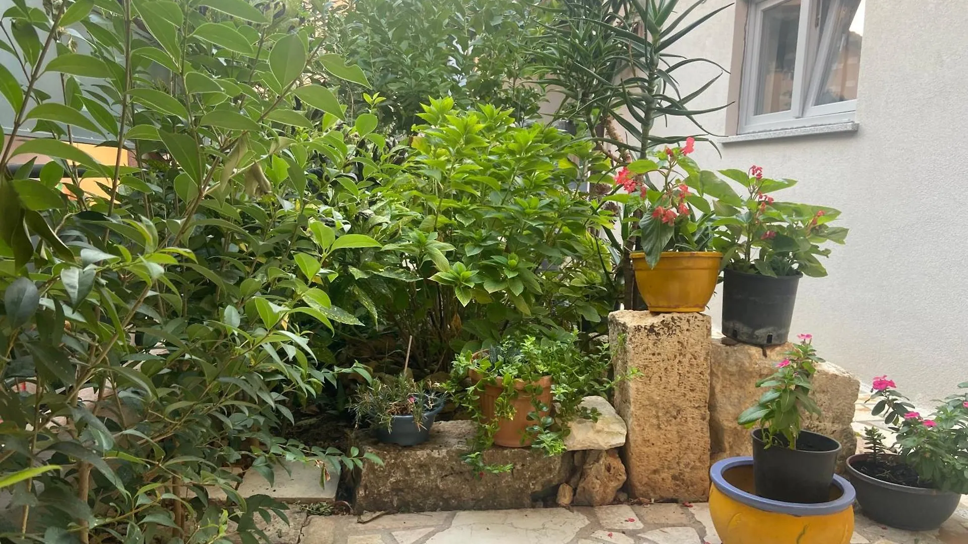 Apartament Sunvita Pomer